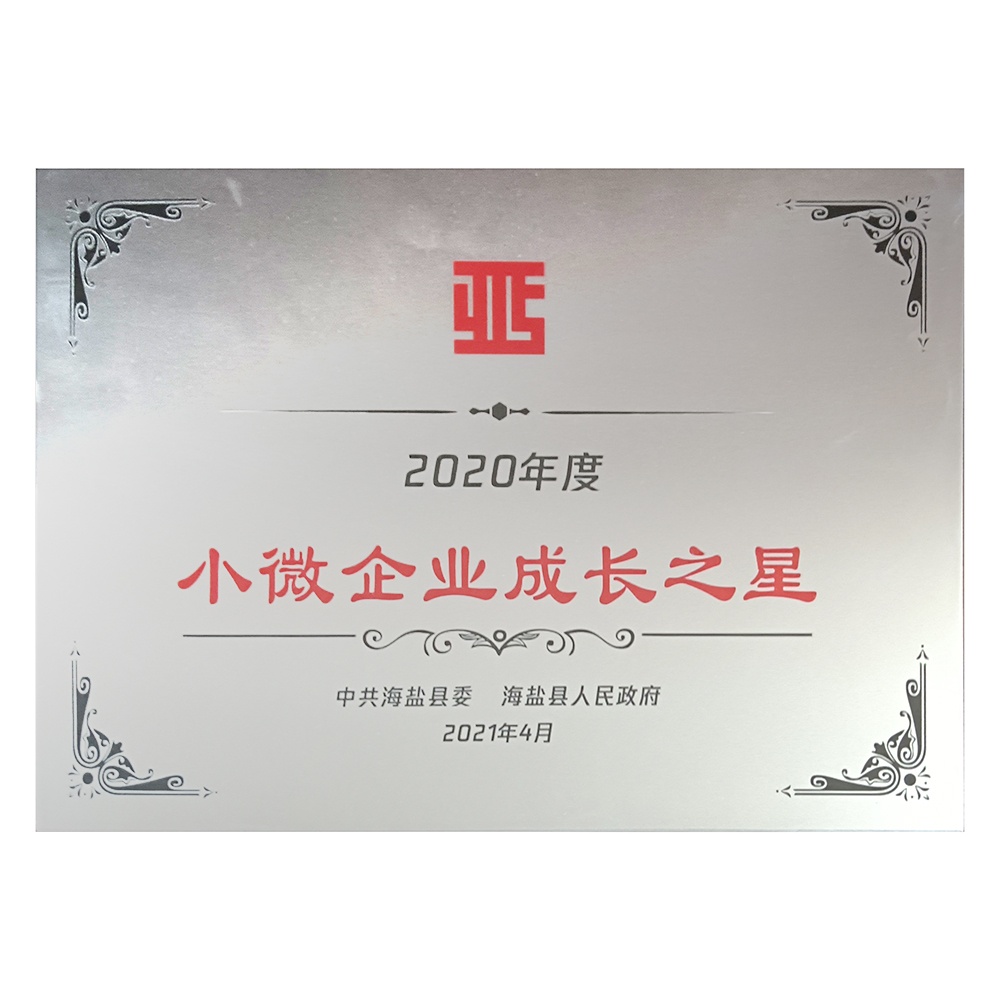 2020年度小微企業(yè)成長(zhǎng)之星