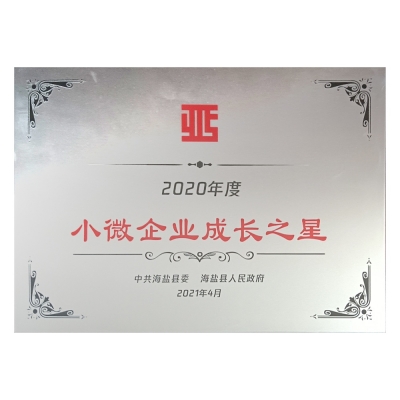 2020年度小微企業(yè)成長(zhǎng)之星